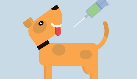 【犬の糖尿病】ヒトの糖尿病とどう違う？獣医師が解説します。