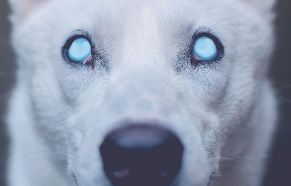 短い答えは何ですか?